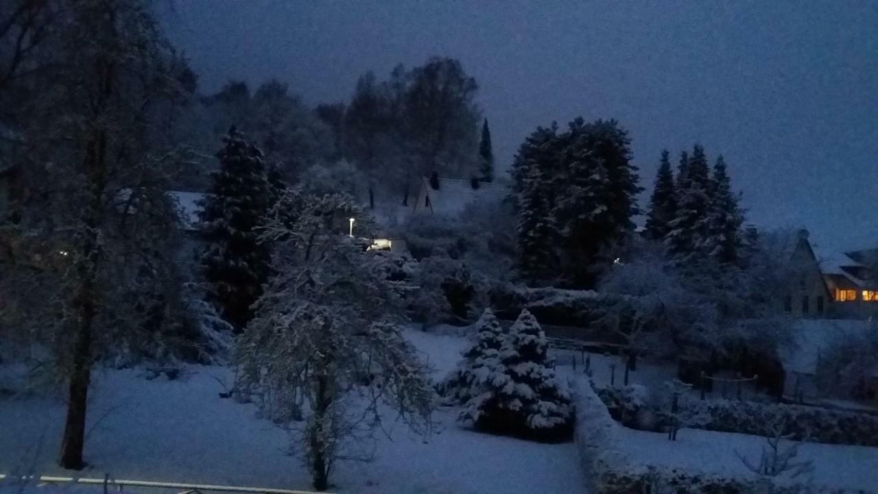 Haus Nordlicht Apartman Horn-Bad Meinberg Kültér fotó